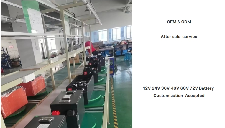 Customizable Battery