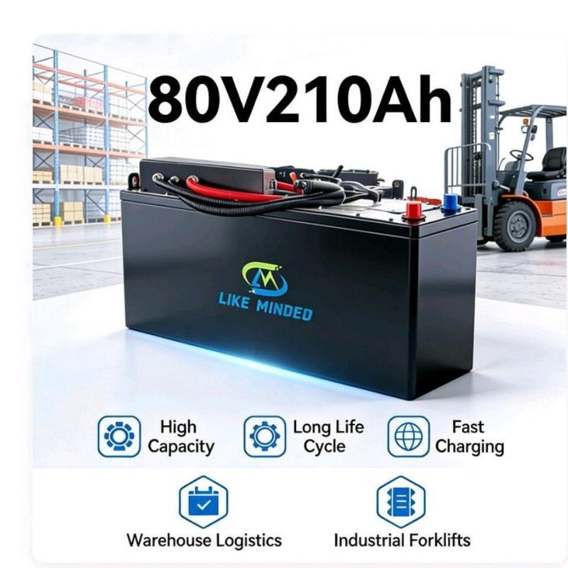Custom 76.8V 210Ah LiFePO4 Forklift Battery